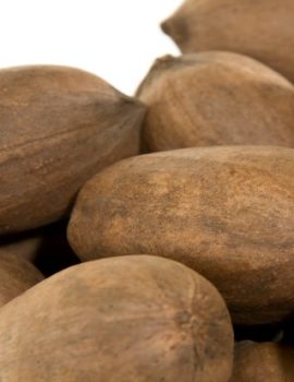 In the Shell Pecans